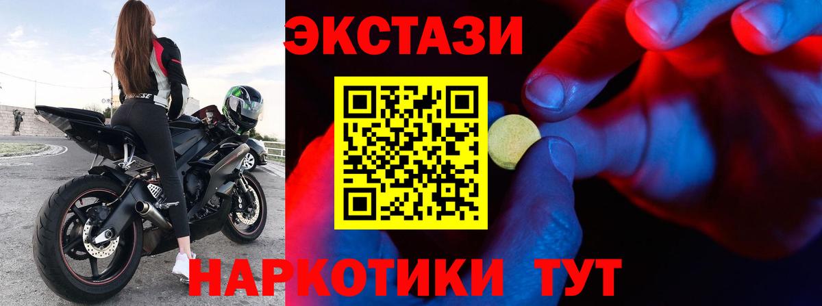 Гай  ЭКСТАЗИ Philipp Plein  Экстази  Вход с VPN 