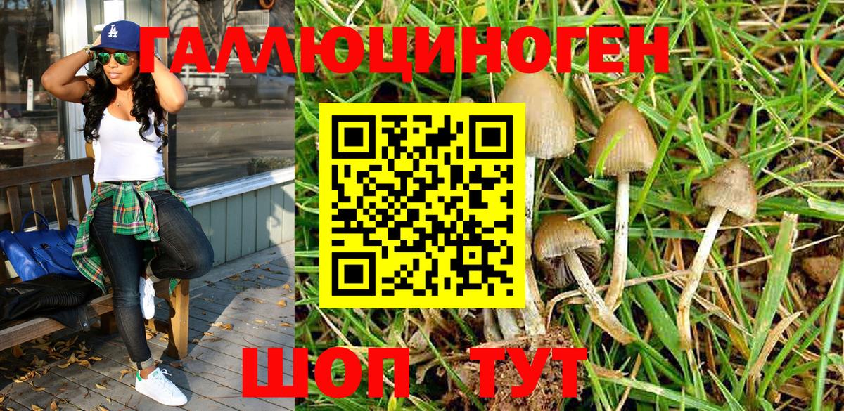 Псилоцибиновые грибы GOLDEN TEACHER  Галлюциногенные грибы Psilocybine cubensis  Гай  Вход с VPN 
